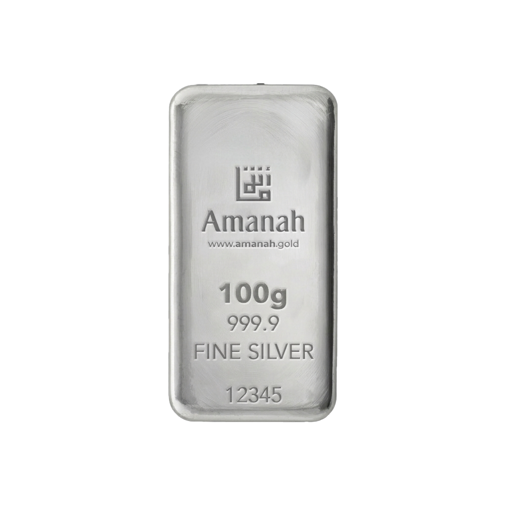 100g Silver Bar
